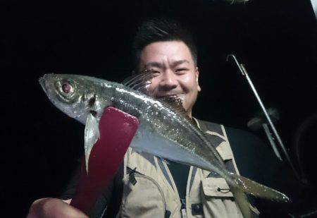 シースナイパー海龍 釣果