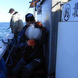 芳陽丸 釣果