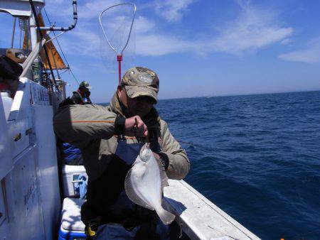 芳陽丸 釣果