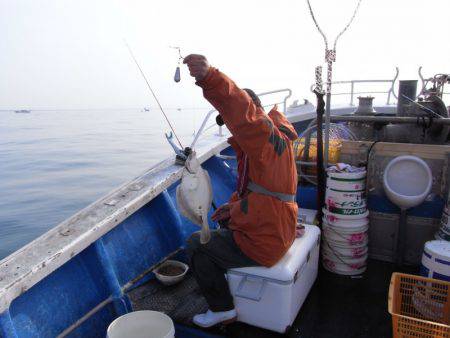 芳陽丸 釣果