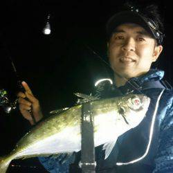 シースナイパー海龍 釣果