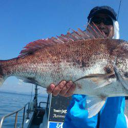 シースナイパー海龍 釣果