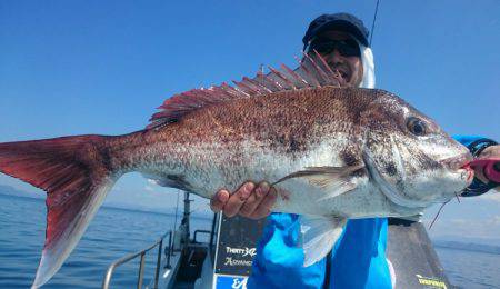 シースナイパー海龍 釣果