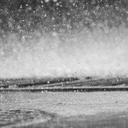 雨が降ってても釣りに行きたい！【レインウェア特集】