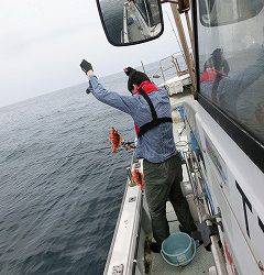 第二清洋丸 釣果