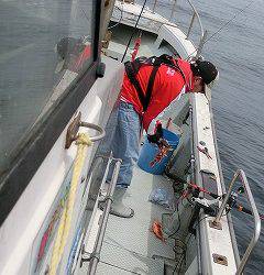 第二清洋丸 釣果