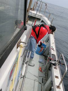 第二清洋丸 釣果