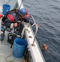 第二清洋丸 釣果