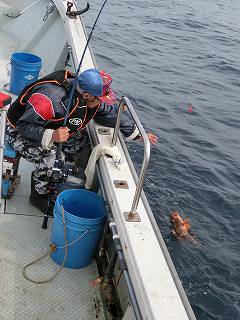 第二清洋丸 釣果