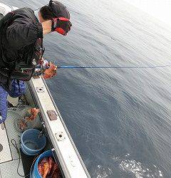 第二清洋丸 釣果