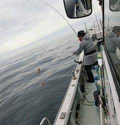 第二清洋丸 釣果