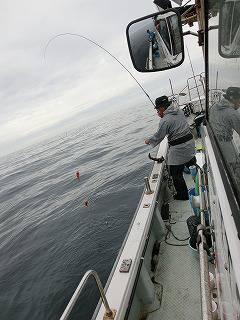 第二清洋丸 釣果