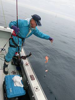 第二清洋丸 釣果