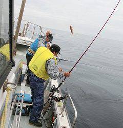第二清洋丸 釣果