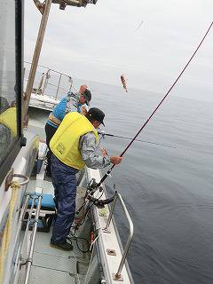 第二清洋丸 釣果