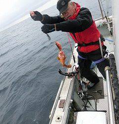 第二清洋丸 釣果