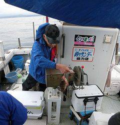 第二清洋丸 釣果