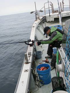 第二清洋丸 釣果