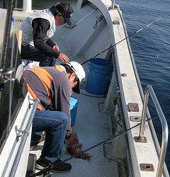 第二清洋丸 釣果