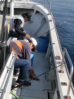 第二清洋丸 釣果