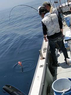 第二清洋丸 釣果