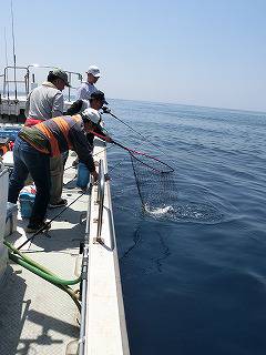 第二清洋丸 釣果