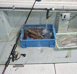 第二清洋丸 釣果