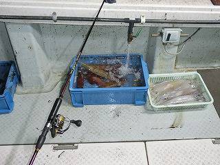 第二清洋丸 釣果