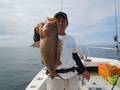 釣船　キティ 釣果