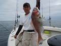 釣船　キティ 釣果