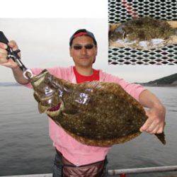 須磨海づり公園　釣果