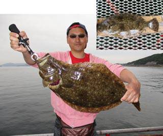 須磨海づり公園　釣果