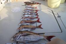 KIM Fishing Guide Ser…