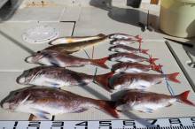 KIM Fishing Guide Ser…