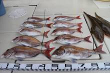 KIM Fishing Guide Ser…