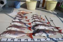 KIM Fishing Guide Ser…