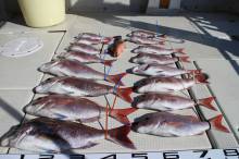 KIM Fishing Guide Ser…