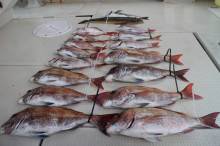 KIM Fishing Guide Ser…