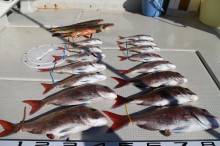 KIM Fishing Guide Ser…