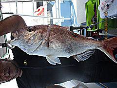 遊漁船 未紗奈 釣果