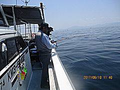 遊漁船 未紗奈 釣果