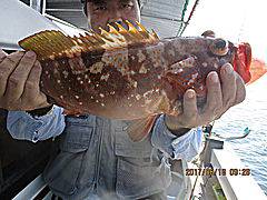 遊漁船 未紗奈 釣果