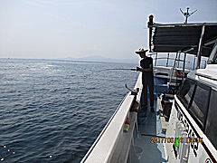 遊漁船 未紗奈 釣果