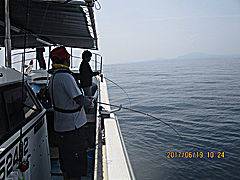 遊漁船 未紗奈 釣果