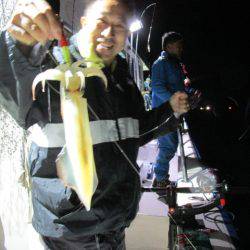 ジギング船 BLUEWATER 釣果