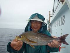増福丸 釣果