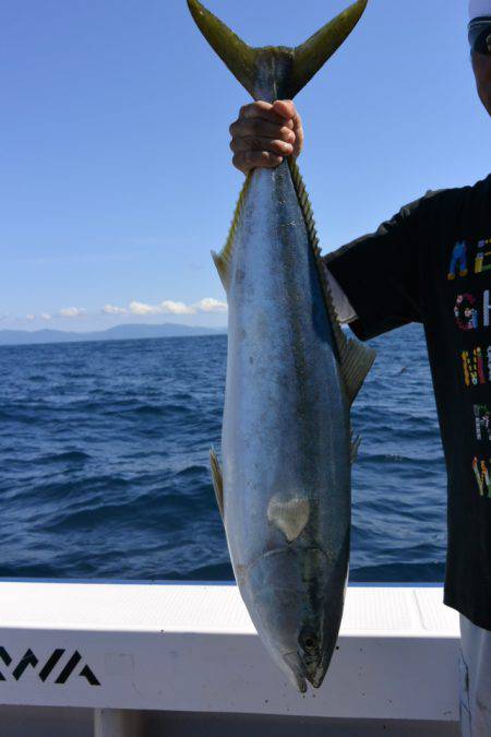 ジギング船 BLUEWATER 釣果