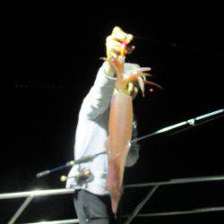 ジギング船 BLUEWATER 釣果