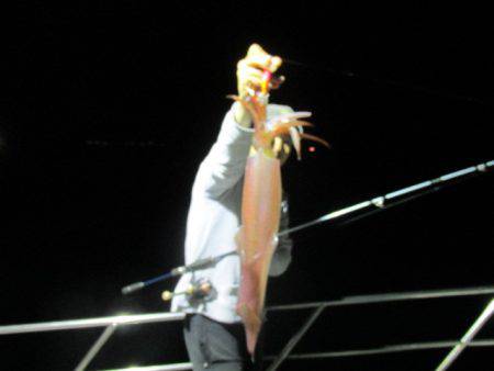 ジギング船 BLUEWATER 釣果