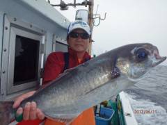 増福丸 釣果